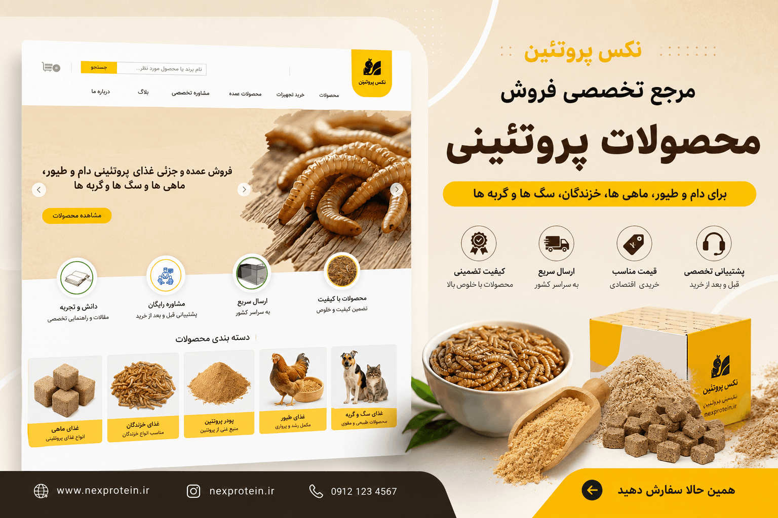 سایر